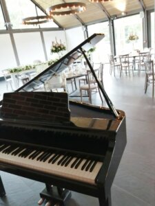 Syrencot House Piano